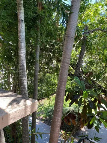40 Almeria Avenue Coral Gables FL 33134