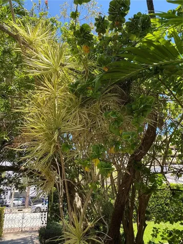 40 Almeria Avenue Coral Gables FL 33134