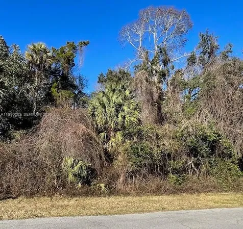 11147 W State Park Street Other City - In The State Of Florida FL 34428
