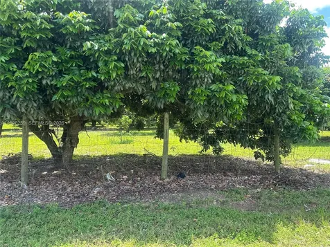 206XX SW 344 Street Homestead FL 33034