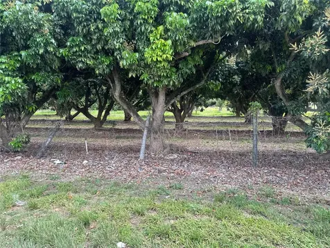 Homestead FL 33034