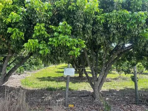 Homestead FL 33034