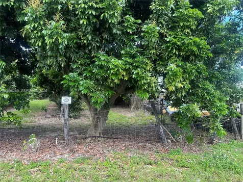 Homestead FL 33034