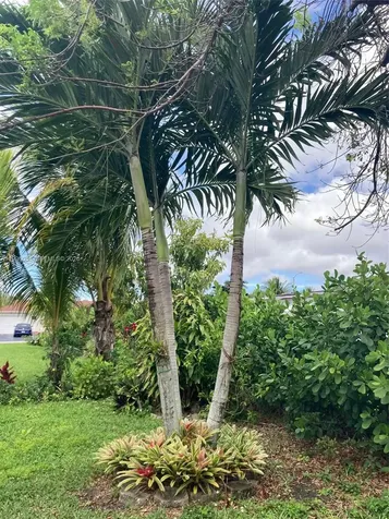 7008 NW 95th Terrace Tamarac FL 33321