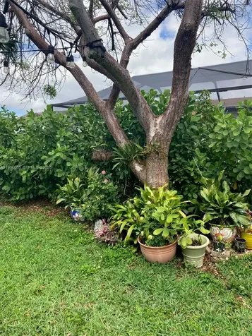 7008 NW 95th Terrace Tamarac FL 33321