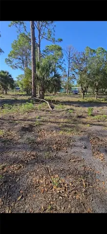 466 Hunting Club Avenue Clewiston FL 33440