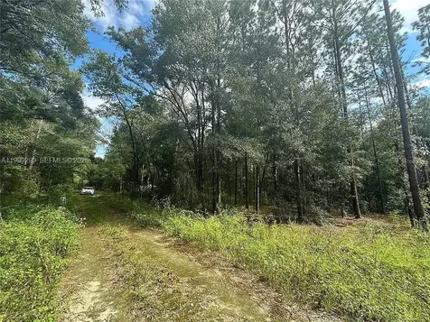 0 SW 153rd Avenue Ocala FL 34481