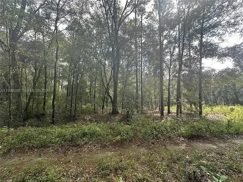0 SW 153rd Avenue Ocala FL 34481