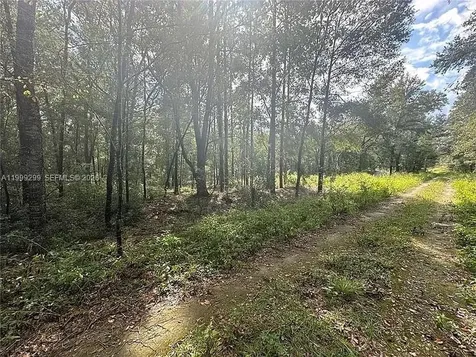 0 SW 153rd Avenue Ocala FL 34481
