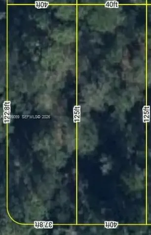 1714 & 1716 Magnolia Street Sebring FL 33875