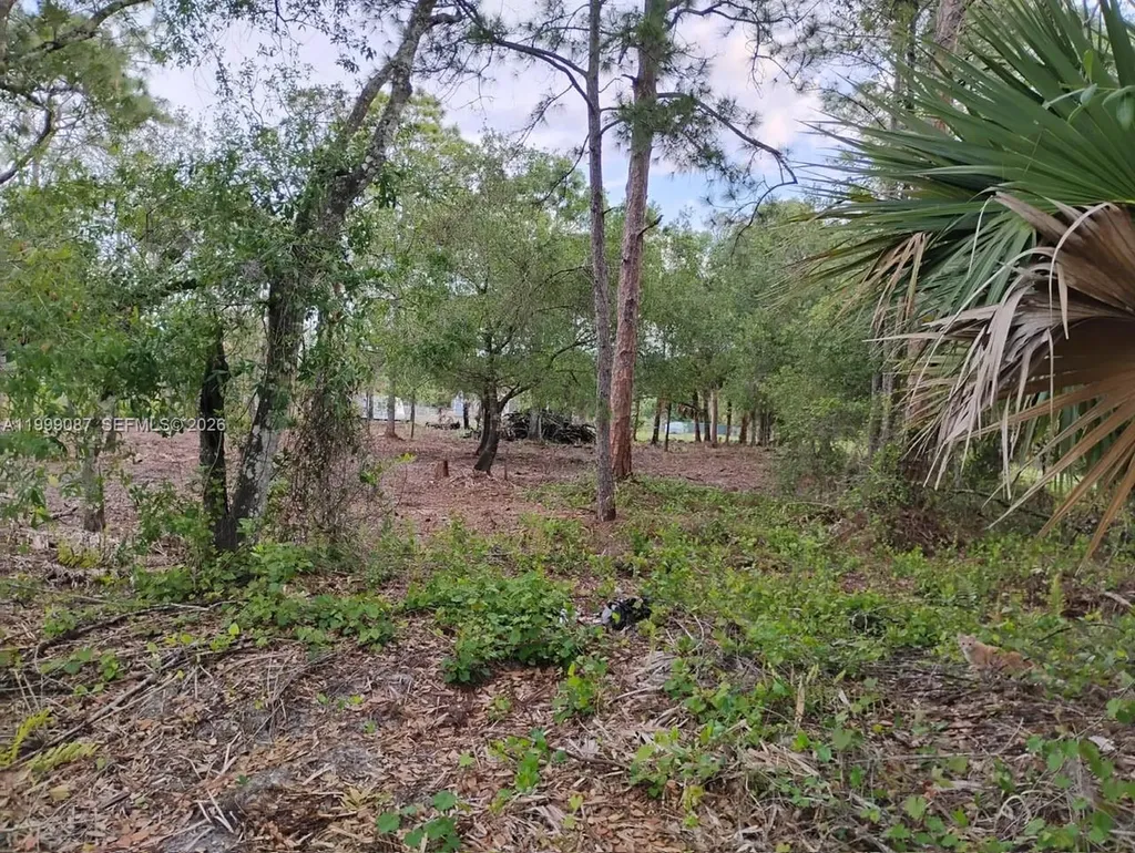 845 Appaloosa Avenue Clewiston FL 33440