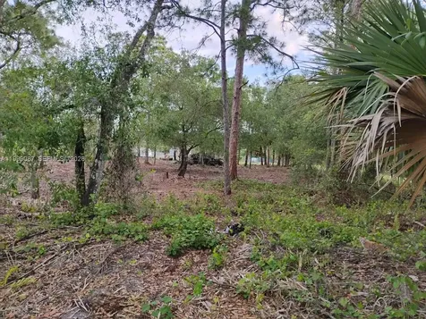 845 Appaloosa Avenue Clewiston FL 33440