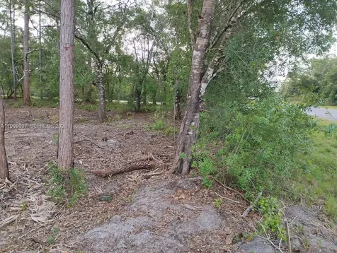 845 Appaloosa Avenue Clewiston FL 33440