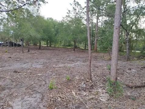 845 Appaloosa Avenue Clewiston FL 33440