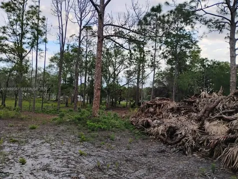 845 Appaloosa Avenue Clewiston FL 33440