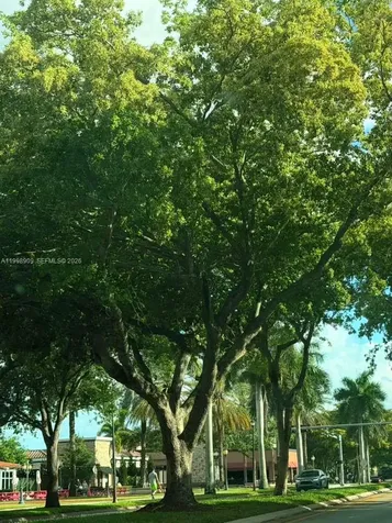 15515 N Miami Lakeway N Miami Lakes FL 33014
