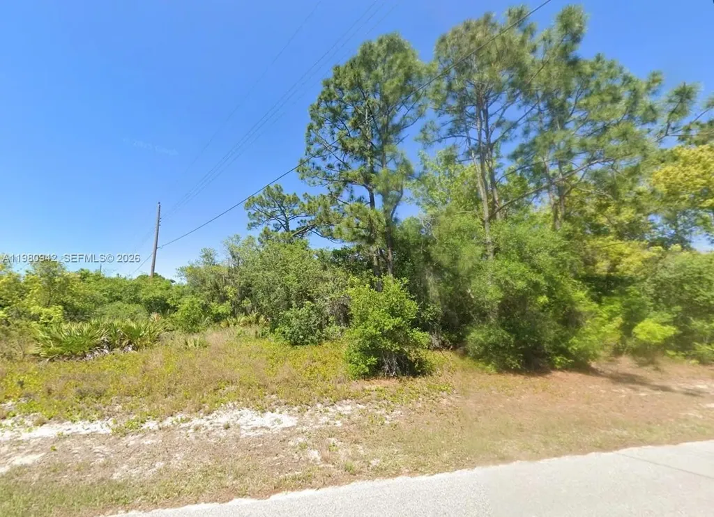 235 Deerwalk Avenue Lake Placid FL 33852