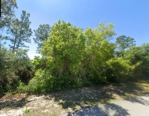 235 Deerwalk Avenue Lake Placid FL 33852
