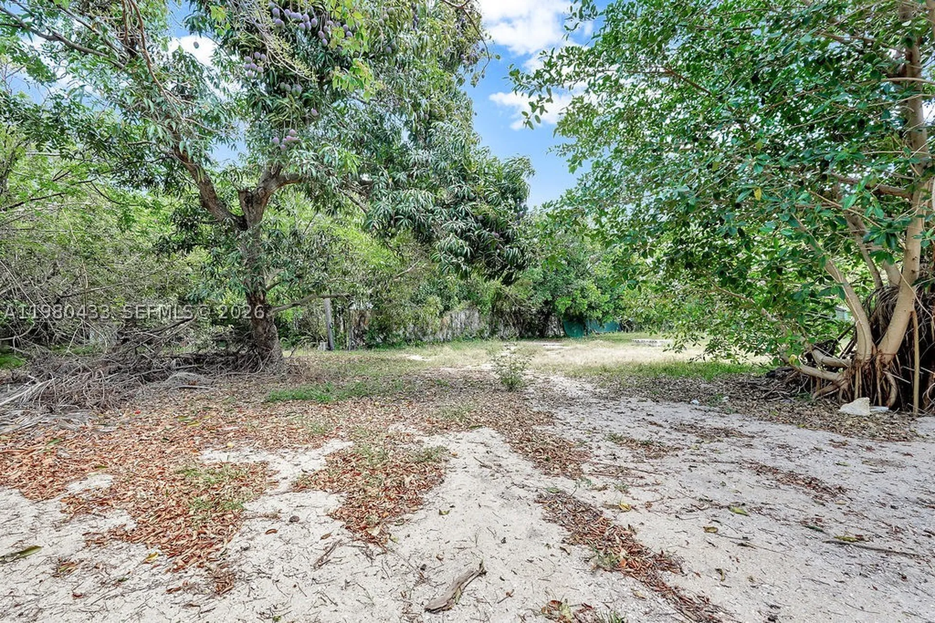 2415 Pierce Street Hollywood FL 33020