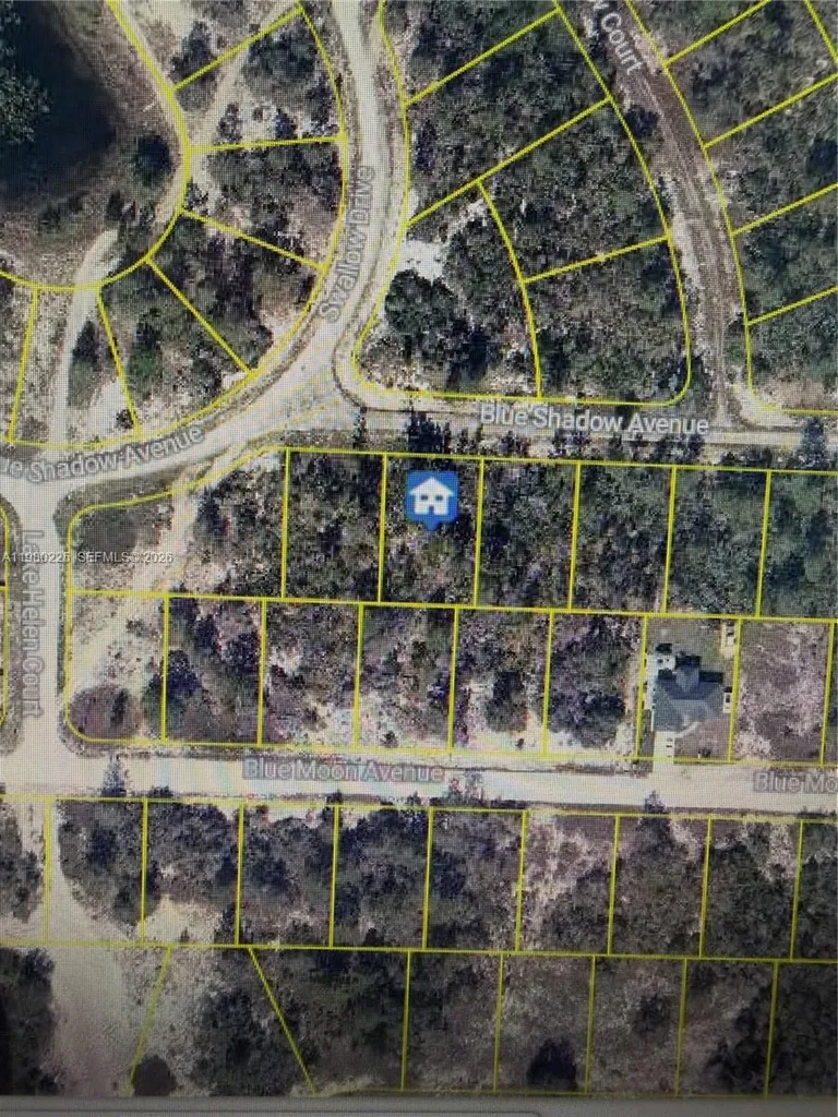 459 Ruba Avenue Lake Placid FL 33852