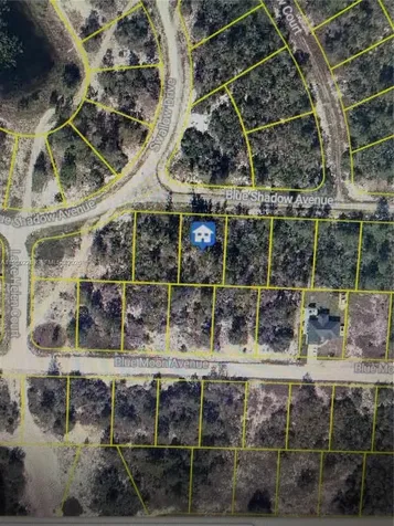 459 Ruba Avenue Lake Placid FL 33852