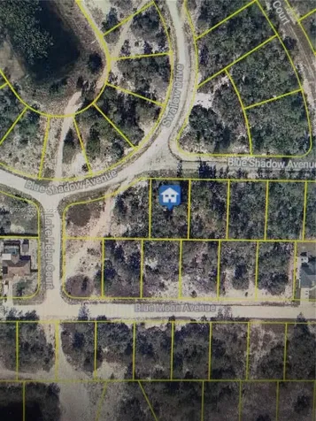 457 Ruba Avenue Lake Placid FL 33852