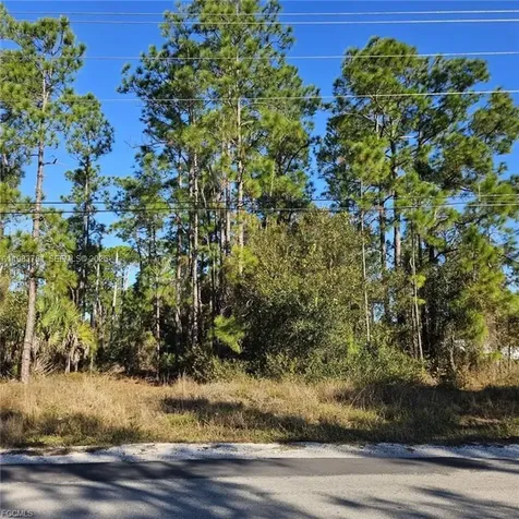 3903 E 10th Street Lehigh Acres FL 33972