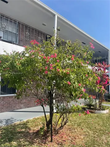 1050 Atlantic Shores Boulevard Hallandale Beach FL 33009