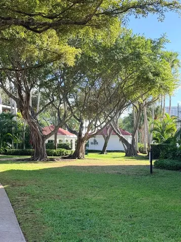 3165 NE 184th Street Aventura FL 33160