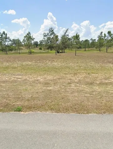 1009 Orange Creek Lane Sebring FL 33870