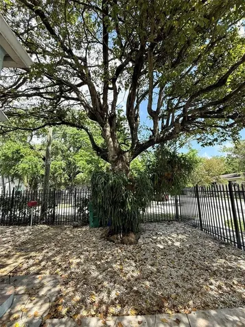 294 NE 57th Street Miami FL 33137