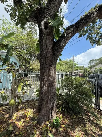 294 NE 57th Street Miami FL 33137