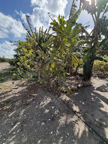 16455 SW 207 Miami FL 33187