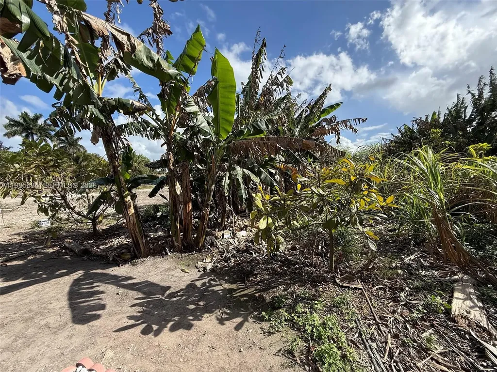 16455 SW 207 Homestead FL 33187