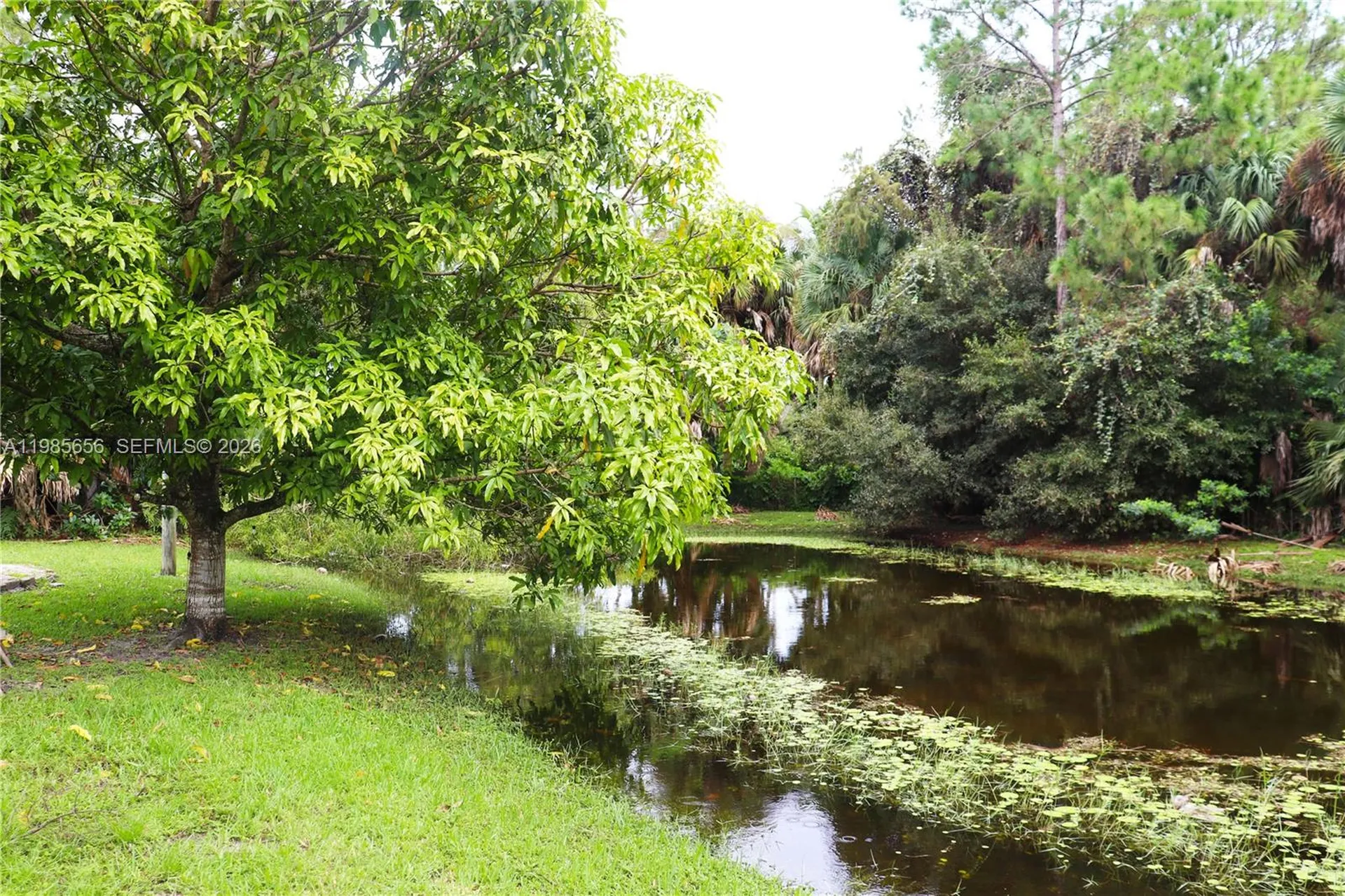 16930 W Mead Hill Drive Loxahatchee FL 33470
