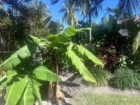3401 NE 165th Street North Miami Beach FL 33160