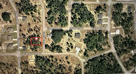 0 Guava Track, Ocala FL 32179