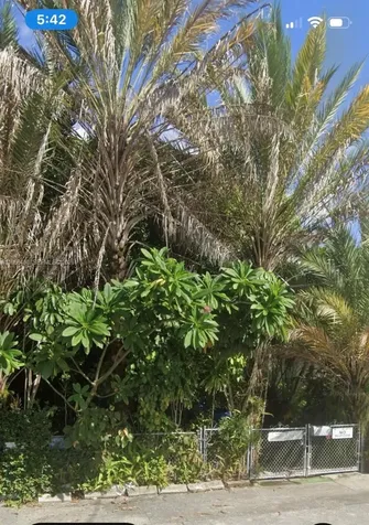 361 NE 69th Street Miami FL 33138