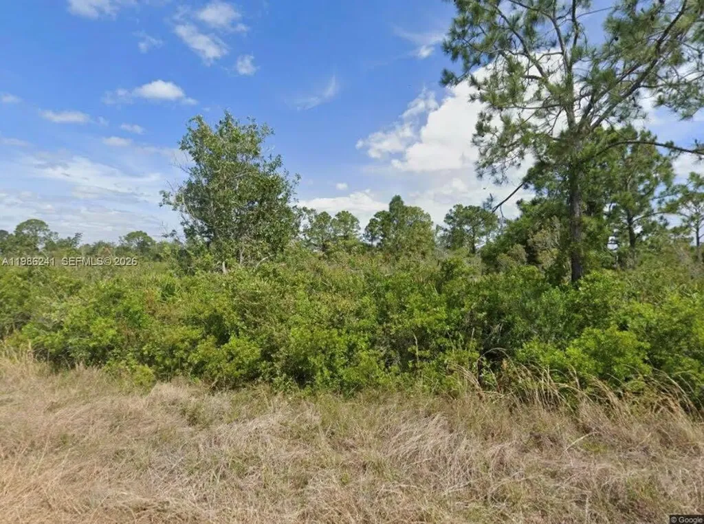 1081 Beaver Street Lake Placid FL 33852