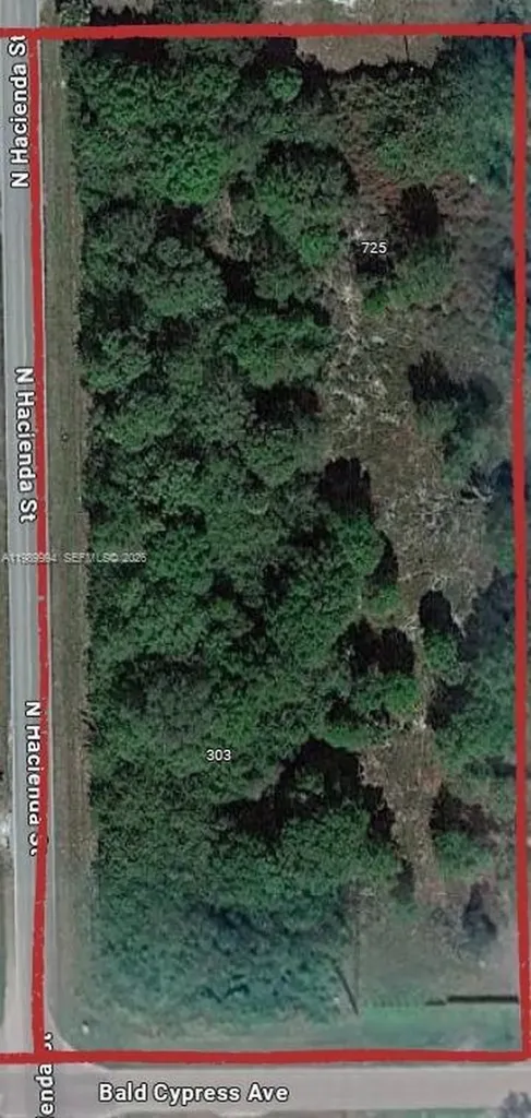 303 Bald Cypress Clewiston FL 33440