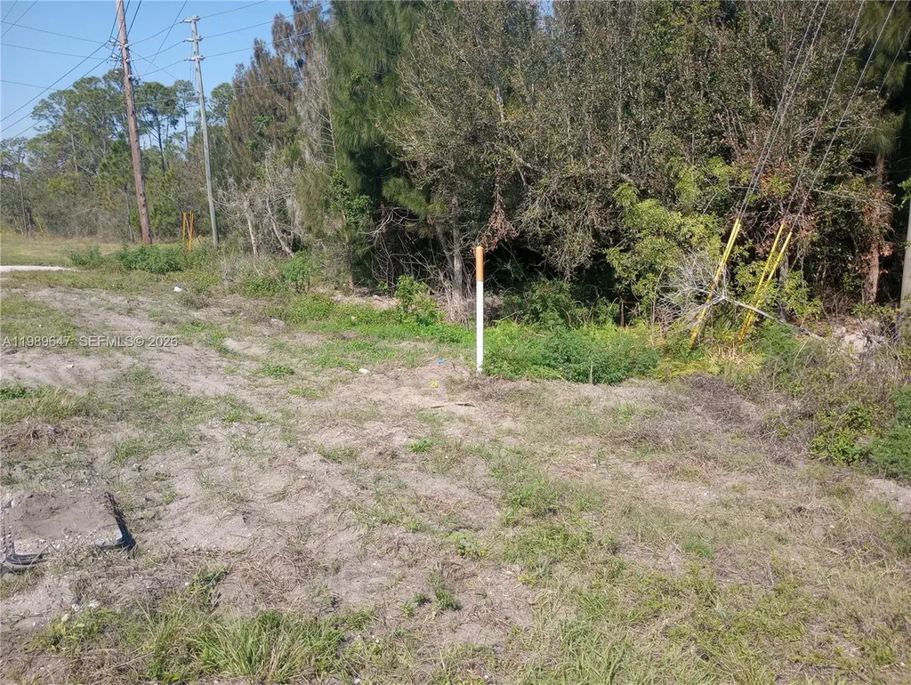 Sebring FL 33876