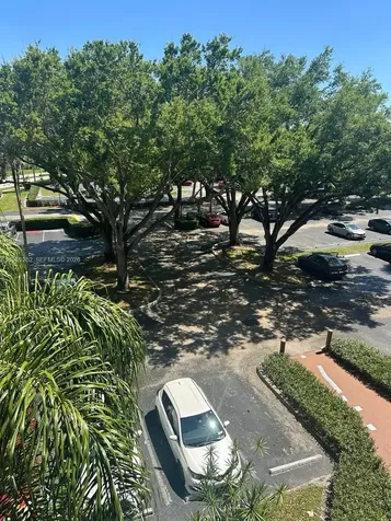 1811 Sabal Palm Drive Davie FL 33324