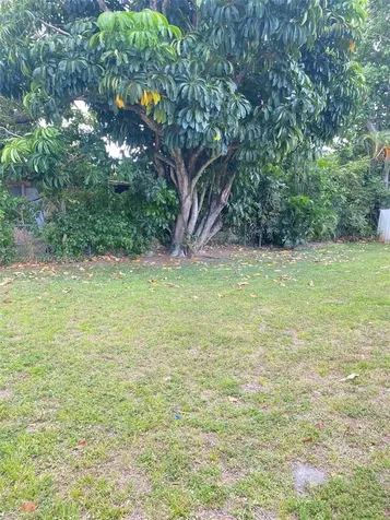 740 NE 179 Te North Miami Beach FL 33162