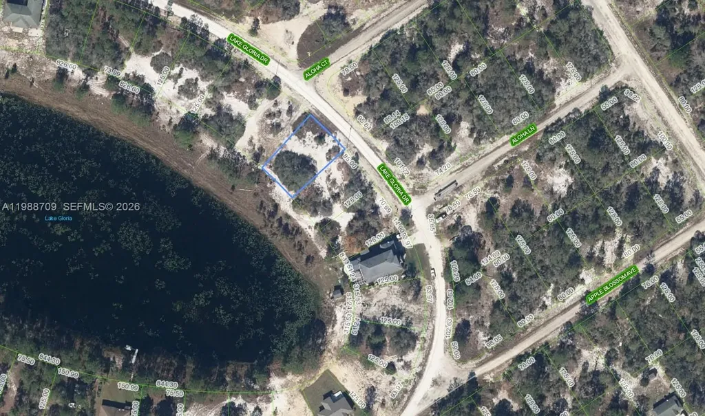 454 Lake Gloria Drive Lake Placid FL 33852