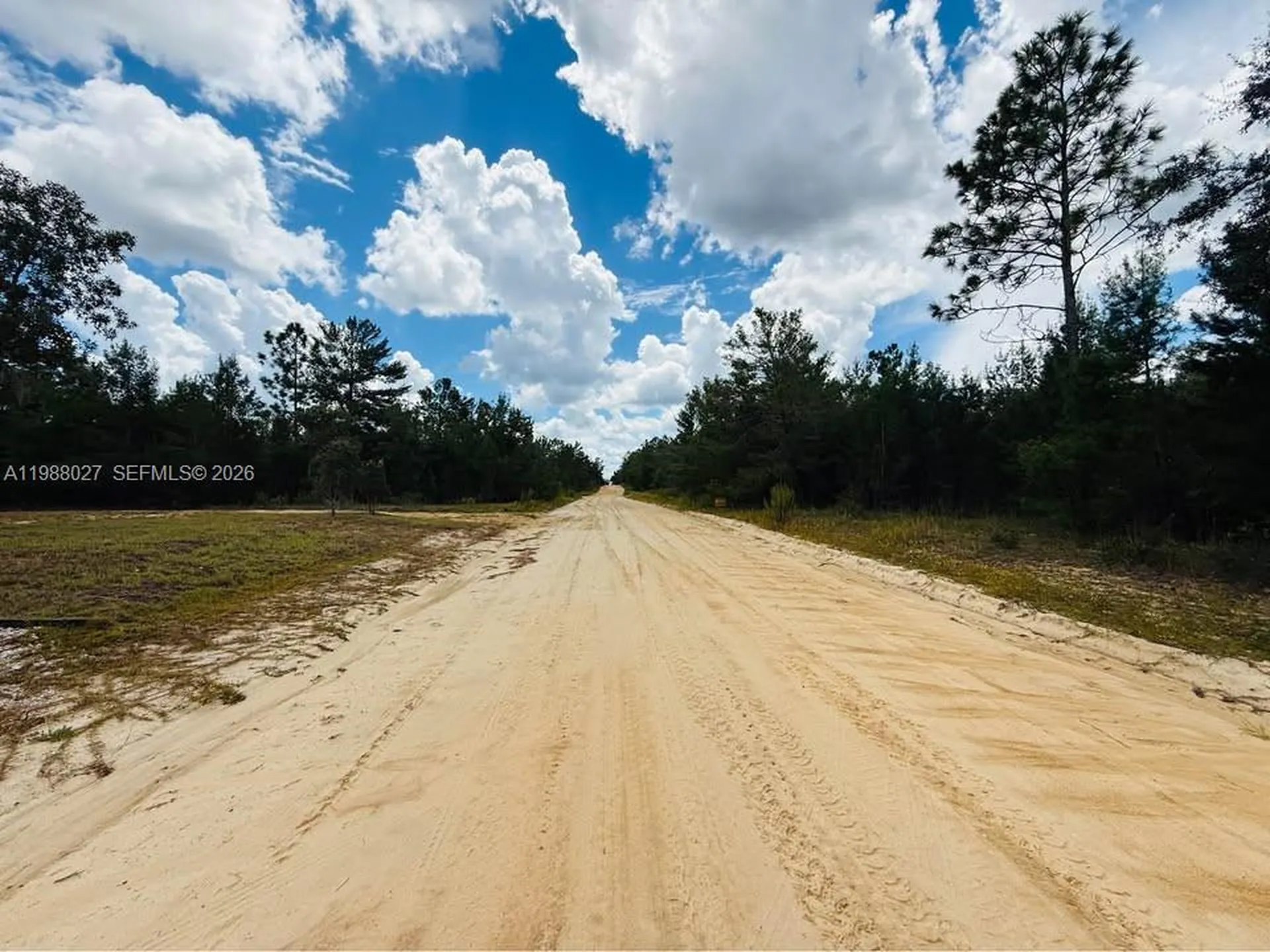 334 Oak Crest Drive Other City - In The State Of Florida FL 32148