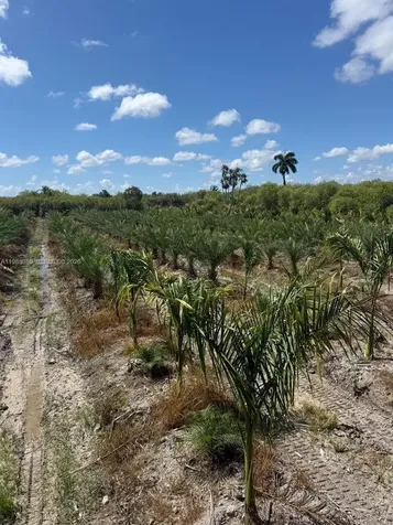 122 Avenue SW 330 Street Homestead FL 33035