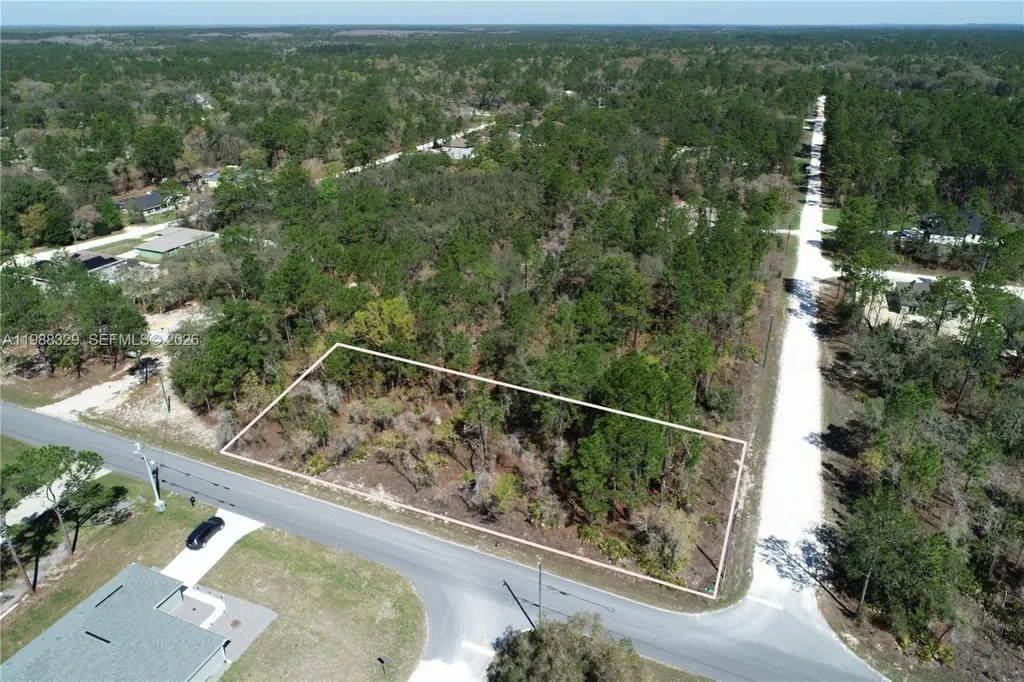 0 Wood Owl Avenue Other City - In The State Of Florida FL 34614