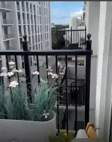 4100 Salzedo Street Coral Gables FL 33146