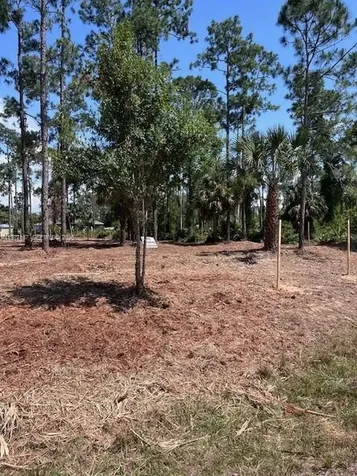 718 Columbus Avenue Lehigh Acres FL 33972
