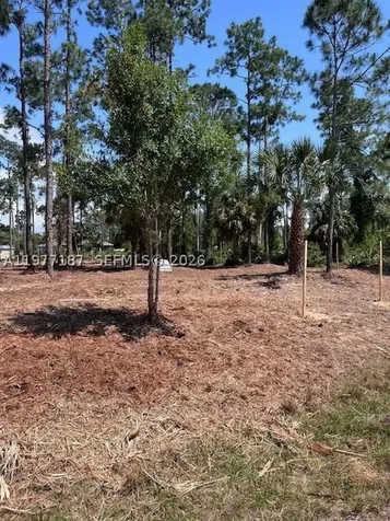 718 Columbus Avenue Lehigh Acres FL 33972